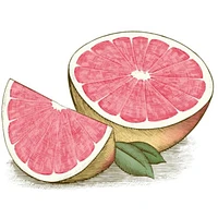 100% Natural Origin Moisturizing Lip Balm, Pink Grapefruit