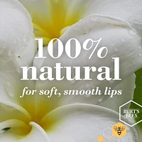 100% Natural Moisturizing Lip Balm, Coconut & Pear and Vanilla Bean