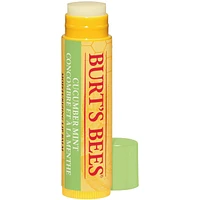 Assorted 100% Natural Moisturizing Lip Balm