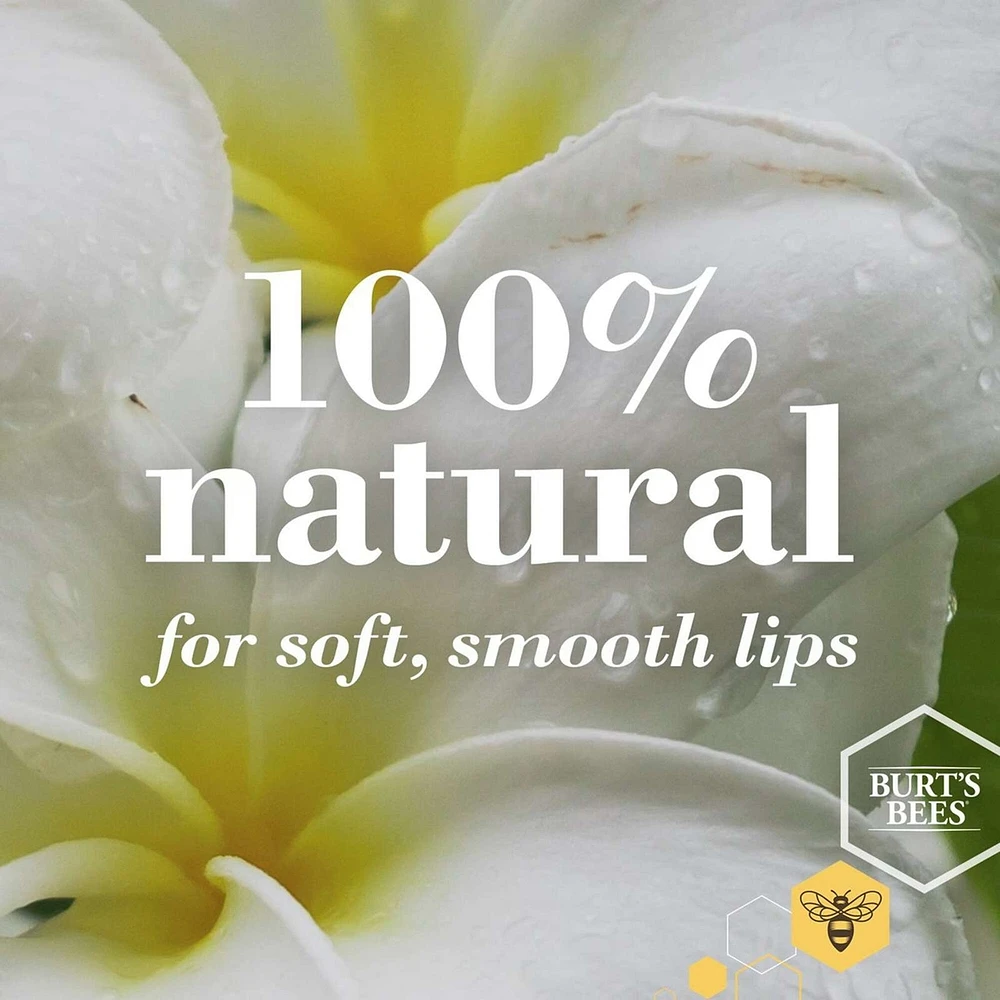 100% Natural Origin Lip Balm, Fruit Mix