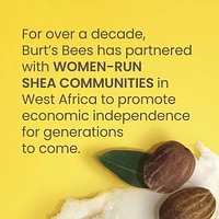 Shea and Coconut Oil Moisturizing Lip Balm Paper Tube, Natural Origin Lip Care