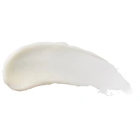 Baume hydratant pour les lèvres d’origine naturelle à 100 % de Burt’s Bees, pastèque