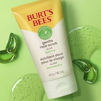 Gentle Face Scrub with Aloe for Sensitive Skin, 98.9% Natural Origin