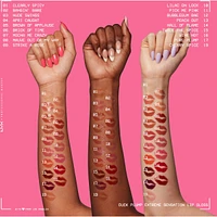 Duck Plump, Plumping lip gloss, High pigment color, Vegan formula