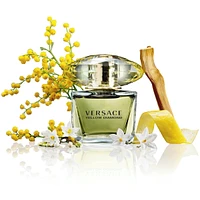 Versace Ladies 5x5ml Mini Set
