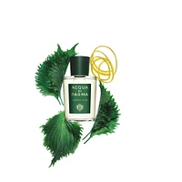 Colonia C.L.U.B. Eau de Cologne Ml