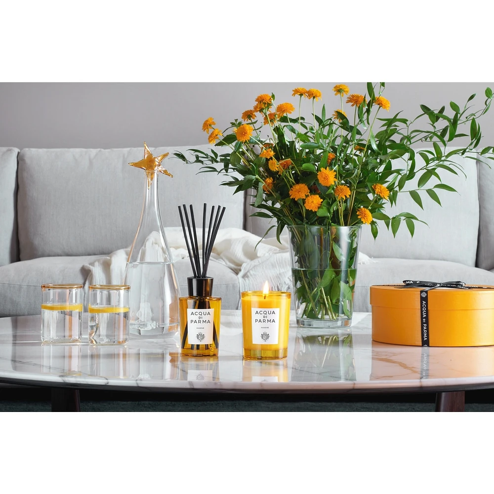 Insieme Room Diffuser 180 Ml.