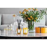 Insieme Room Diffuser 180 Ml.