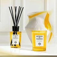 Luce di Colonia Diffuser