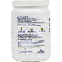 Leanfit Plant-based Protein & Greens