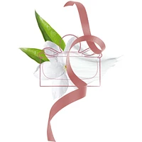 Signorina Eau de Parfum Rollerball