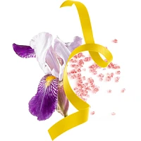 Signorina Libera Eau de Parfum