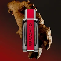 FERRAGAMO Red Leather Eau de Parfum Gift Set