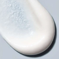 Day Maker Microcrystal Exfoliator