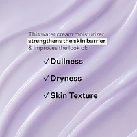 RE-QUENCH WATER CREAM Hyaluronic + Electrolyte Moisturizer