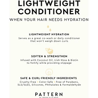 Lightweight Conditioner