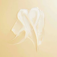 Treatment Mask