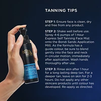 1 Hour Express Face Mist Dark