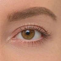 Brow Artist