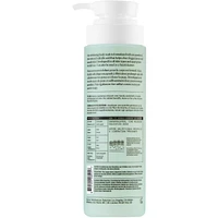 The Perfector Salicylic Acid Body Wash
