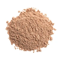 LumiMatte Blurring Finishing & Setting Powder