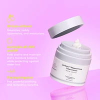 Lala Retro™ Whipped Cream