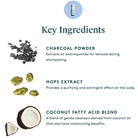Refresh Purifying Shampoo