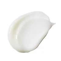 Refresh Purifying Leave-In Conditioner