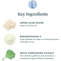 Refresh Purifying Leave-In Conditioner