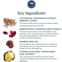 Restorative Treatment Mask