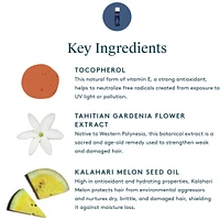 Healing Oil