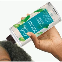 Wash Day Delight Aloe Micellar Water Sulfate Free Moisturizing Daily Shampoo