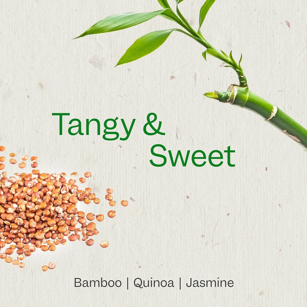 Renpure Bamboo and Quinoa Conditioner
