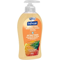 SoftSoap Liquid Hand Soap 332ML CS SP KITCHEN FRESH Anti Bac