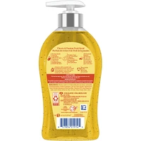 Joyful Liquid Hand Soap