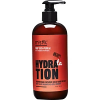 Dry Hair Shampoo - Goji Berry