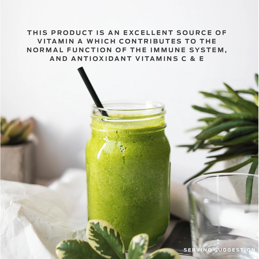 Vega One All-In-One Protein Powder