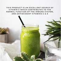 Vega One All-In-One Protein Powder