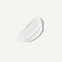 Dewy Barrier Hydrating Stick