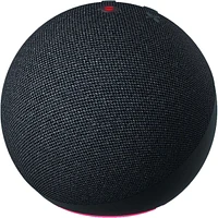 Echo Dot 5th Gen Chrcl