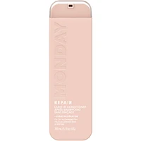 Leave In Conditioner - Repair