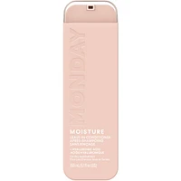 Leave In Conditioner - Moisture