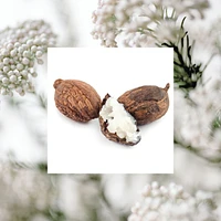 Moisture Loving Body Lotion - Shea + Rice Flower