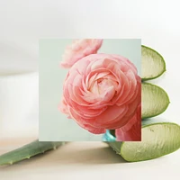 Simply Deo - Beach Rose & Aloe