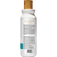 The  Moisture Smoothie Conditioner