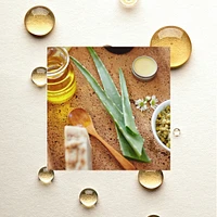 The Scalp Restore Shampoo