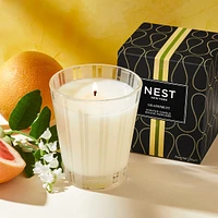 Grapefruit Classic Candle