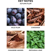 Autumn Plum Reed Diffuser
