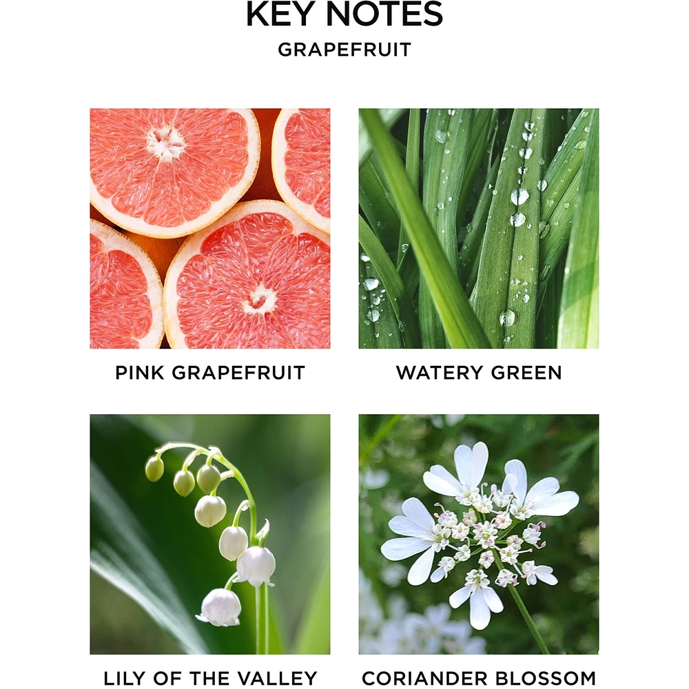 Grapefruit Wall Diffuser Refill