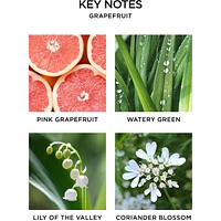 Grapefruit Wall Diffuser Refill